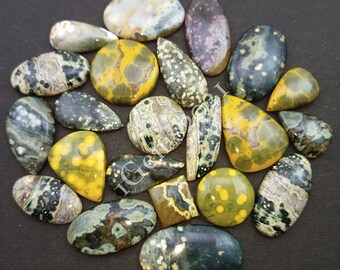 May include: A collection of 20 tumbled ocean jasper stones in various shapes and sizes. The stones are a mix of green, yellow, and brown with white and black markings.