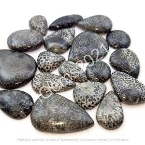 May include: A collection of 15 grey and black fossilized coral cabochons. The cabochons are all different shapes and sizes, and they have a unique, textured surface.