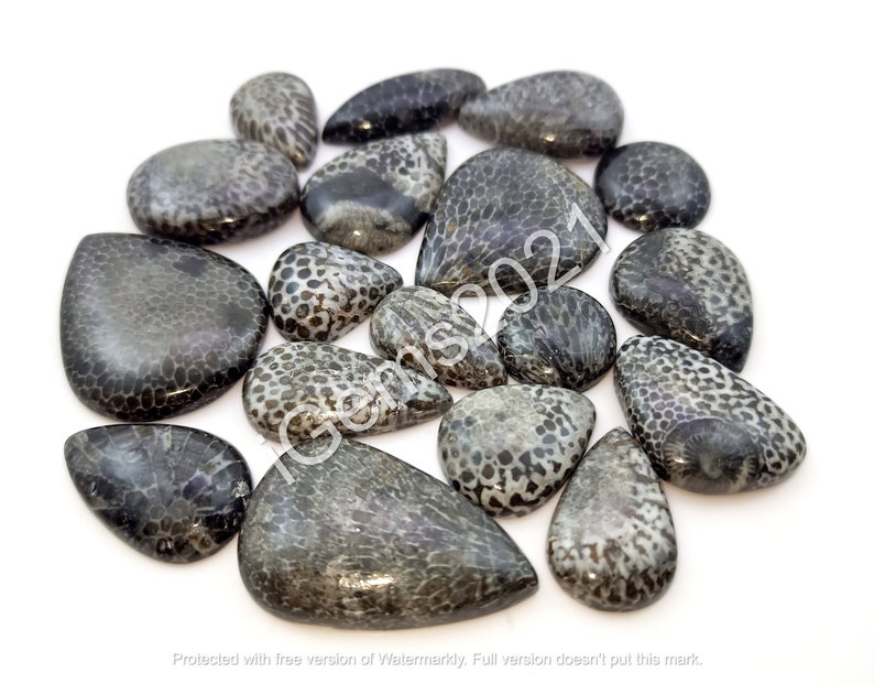 May include: A collection of 15 grey and black fossilized coral cabochons. The cabochons are all different shapes and sizes, and they have a unique, textured surface.