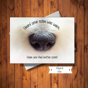 Grappig beterschapskaart, hoorde dat je neus warm was, voel je beter kaart, denk aan je kaart, liefdeskaart verzenden, Instant Download