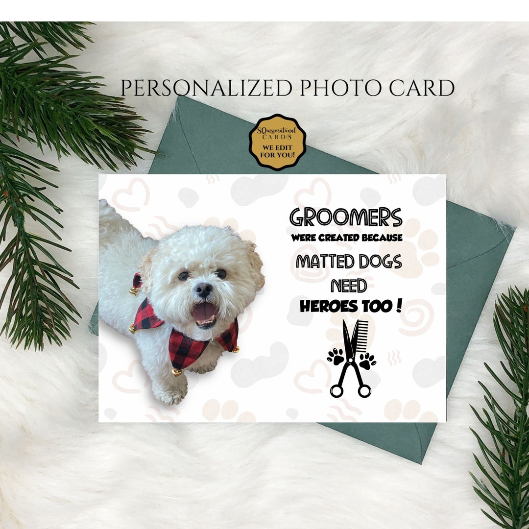 Stunning Causing Dog Grooming Dilemma image