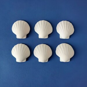 Può includere: Sei conchiglie in ceramica bianca disposte in due file da tre su uno sfondo blu.