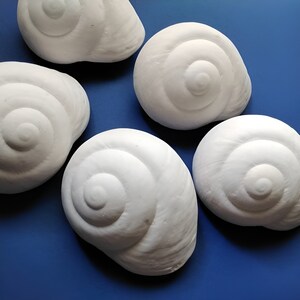 Può includere: Cinque conchiglie in ceramica bianca con un design a spirale su uno sfondo blu.