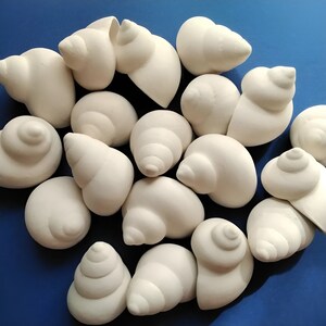 Könnte beinhalten: Eine Sammlung weißer Keramikschneckenhäuser in verschiedenen Größen und Formen. Die Schneckenhäuser sind auf einem blauen Hintergrund angeordnet.