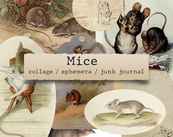 Mice  - ephemera, junk journals, printable paper crafts, scrapbooking, collage sheet, digital download, vintage