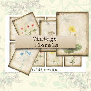 May include: Vintage floral illustrations in a collage of eight rectangular frames with a brown border. The frames are on a light beige background with a floral pattern. The text "Vintage Florals" is in the center of the image. The text "sidhewood" is at the bottom of the image.