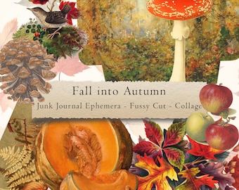 May include: Fall into Autumn Junk Journal Ephemera - Fussy Cut - Collage featuring a variety of autumnal elements, including a red and white mushroom, a pine cone, a bird, leaves, and a sliced pumpkin.