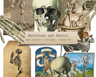 Skeletons & Skulls  - ephemera, junk journals, printable paper crafts, scrapbooking, collage sheet, digital download, halloween, anatomy