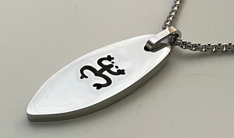 Op de afbeelding: Een zilveren ovale hangerketting met een zwart kikkerontwerp. De hanger is bevestigd aan een zilveren ketting.