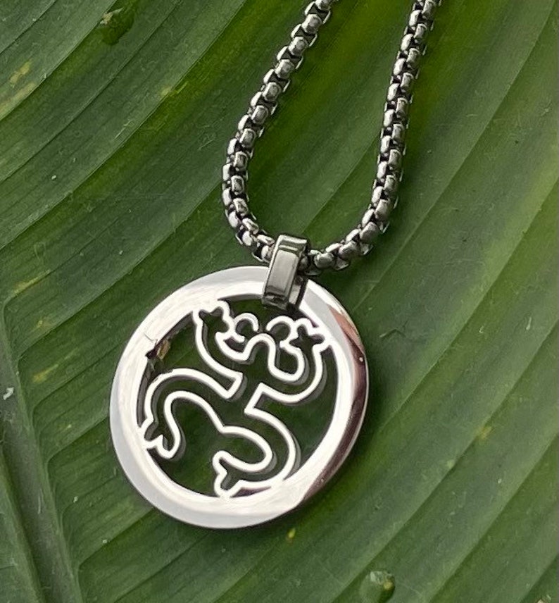 Puede incluir: Un collar de cadena de plata con un colgante redondo que presenta un dise&ntilde;o recortado de una rana estilizada. El colgante est&aacute; sobre un fondo de hojas verdes.