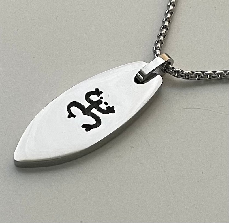 Op de afbeelding: Een zilveren ketting met een zilveren hanger in de vorm van een ovaal. De hanger heeft een zwart kikkerontwerp.