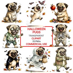 Pode incluir: Uma coleção de ilustrações de pugs com tema de Halloween. Os pugs estão vestidos com vários disfarces, incluindo uma teia de aranha, um esqueleto, um vampiro e um fantasma. A imagem também inclui morcegos, doces e folhas de outono. O texto diz "Halloween Pugs, Transparent Clipart, 25 PNGs, Commercial Use."