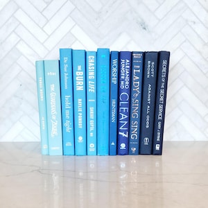 Blue Books, Books by Color, Interior Design, Home Decor, Staging, Coffee Table Books, Bookshelf Decor, Books by Design, Pale Blue Decor
