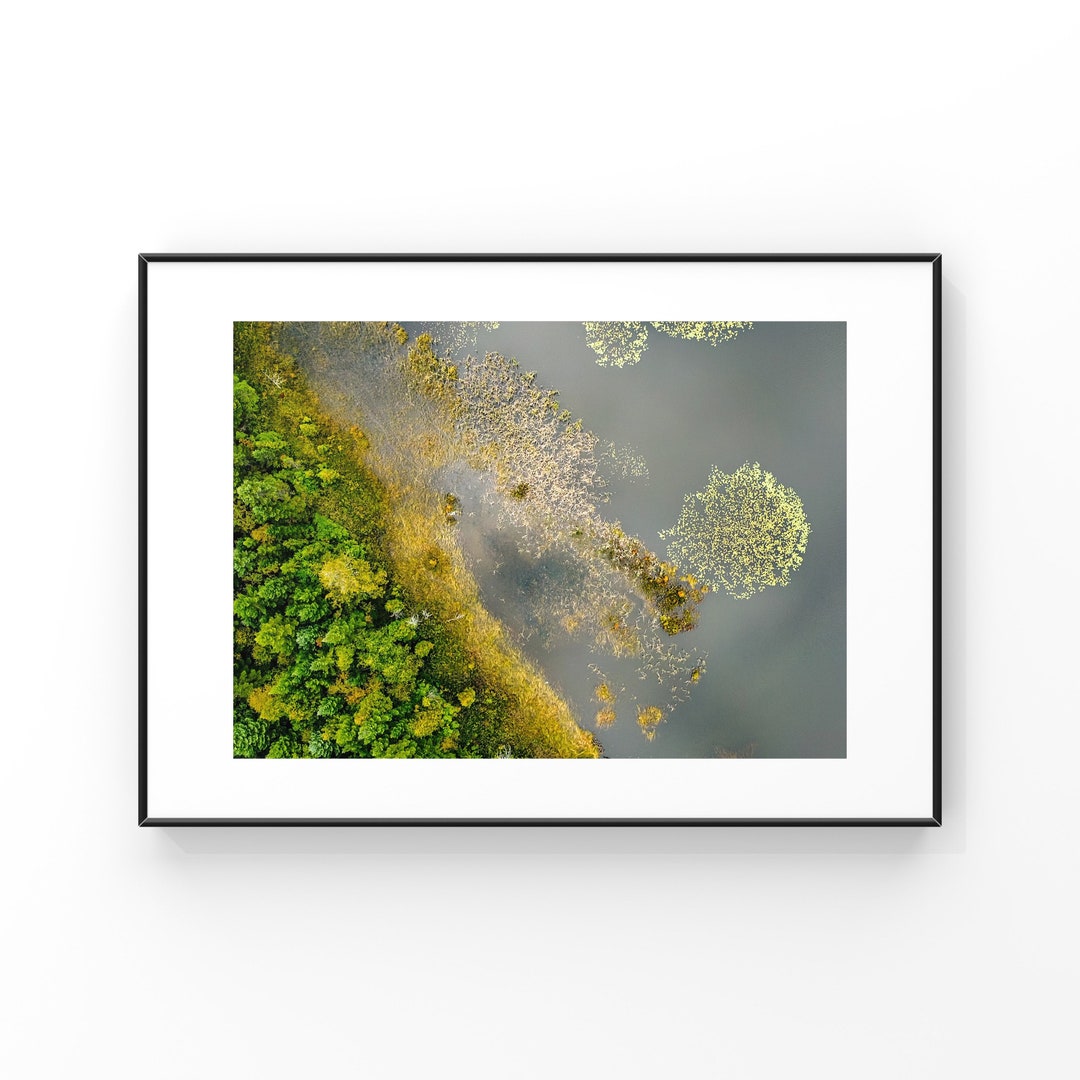 Abstract Greenery Nature Photography Print From Quebec - Etsy