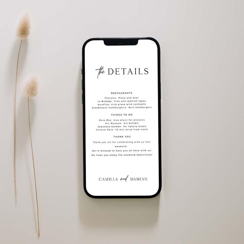 Digital Weddding Itinerary Template, Download, Mobile Wedding Weekend Timeline, Schedule Of Events, Electronic Order Of Events, Editable image 2
