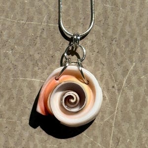 May include: A spiral-shaped seashell pendant necklace. The pendant features a natural seashell with shades of orange, white, and cream. The necklace has a silver-colored chain and a simple, elegant design. The pendant is approximately 2 inches in diameter.