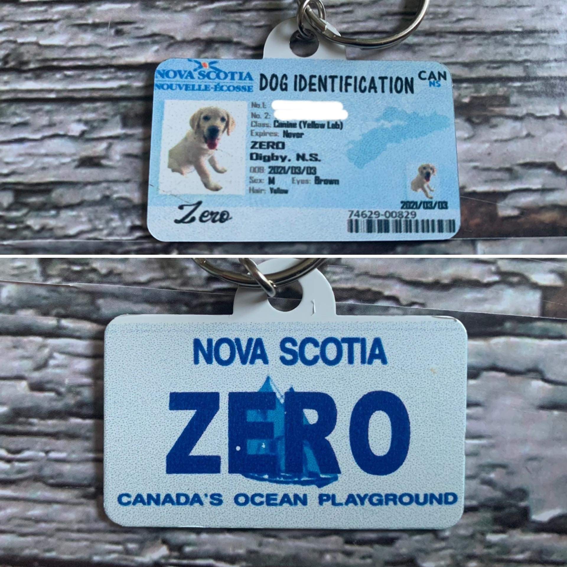 Drivers License Pet Tag Made to Look Like a Real Drivers Etsy Canada