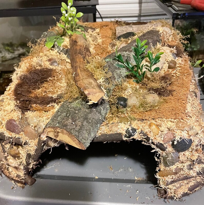 XL Large Reptile Hide/cave Etsy