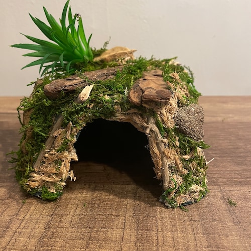 XL Large Reptile Hide/cave Etsy