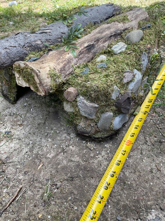 XL Large Reptile Hide cave Etsy UK