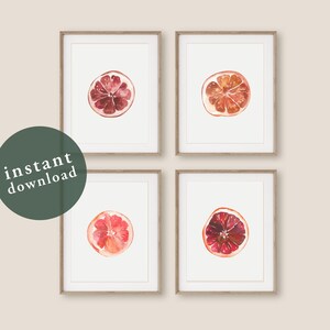 Grapefruit Wall Art Set of 4, Citrus Wall Art, Fruit Wall Art, Art Printable, Digital Download, Kitchen Wall Art, Farmhouse Art, Botanical