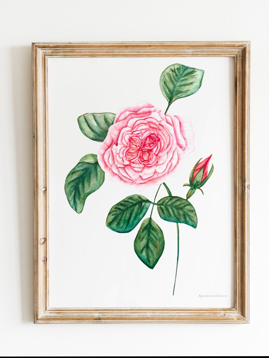 咲き誇るピンクのバラの絵画、上質な水彩画、フラワーギャラリーの壁