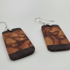 Horse chestnut and walnut dangle/drop earrings.