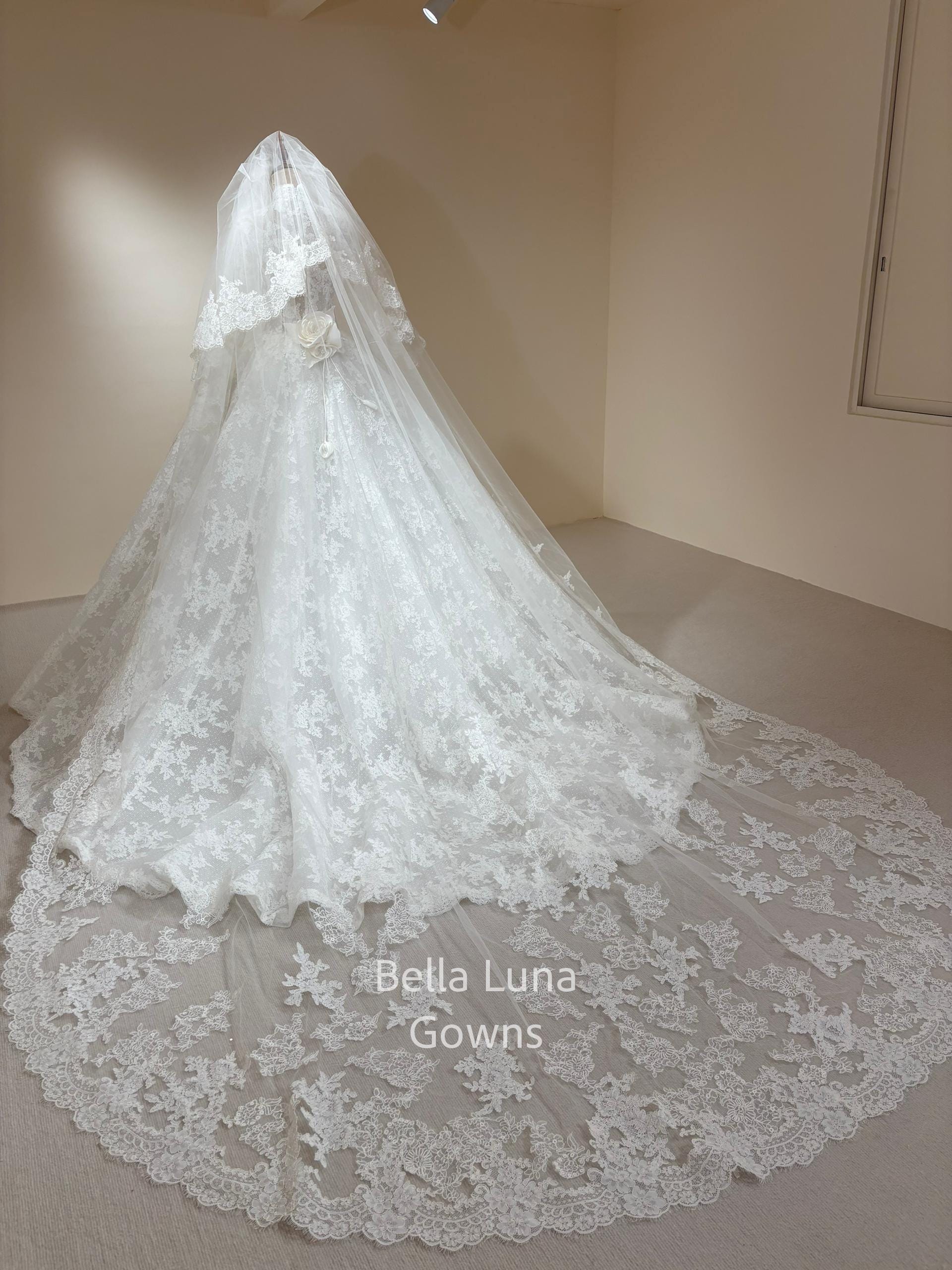 French Lace Ball Gown Wedding Dress, High Neck, Cathedral Train, Long Sleeves