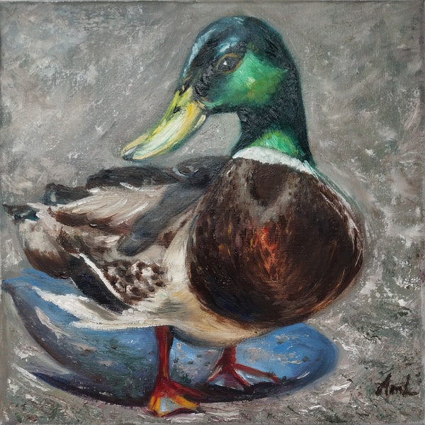 Mallard Duck Original Oil Painting