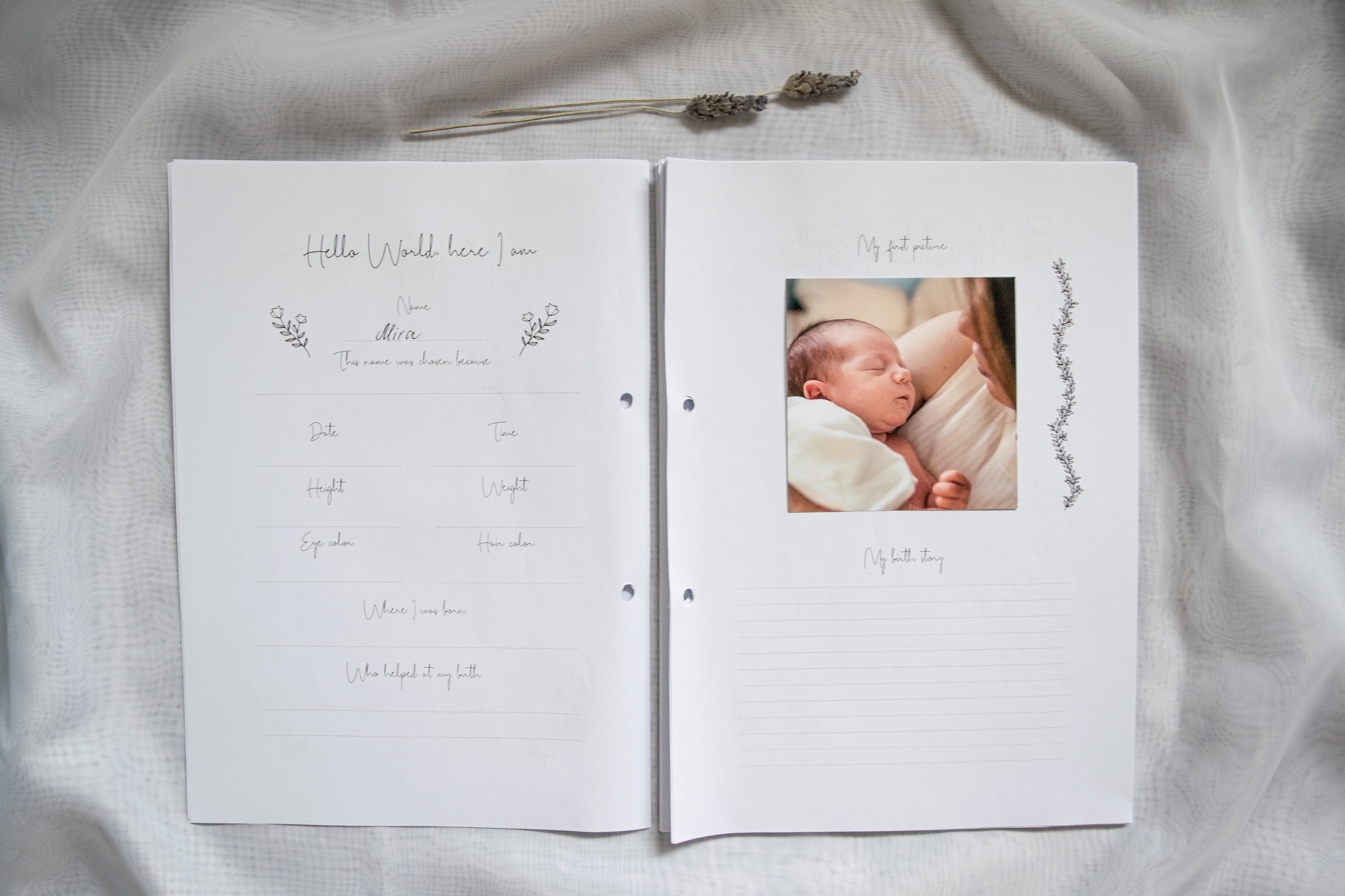 Printable Baby Record Book DIY Baby Book Baby Memory Book Etsy Australia