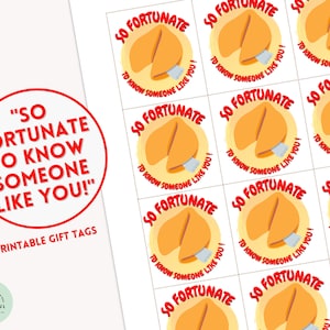 Zo gelukkig om iemand zoals jij te kennen Fortune Cookie-cadeaukaartjes Leuke Fortune Cookie-cadeaus voor vrienden Koekjescadeau-tags voor collega's