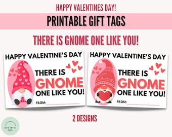 Gnome One Like You Printable Valentine Gnome Tags Valentine Gnome  Valentines Day Gift Tags Valentine Day Gifts Valentines Tags Print