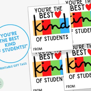 Etiqueta de presente You're The Best Kind of Students Presentes de volta às aulas do professor Presente de ano novo escolar Kind Bar Granola Presente fofo para alunos