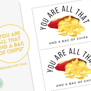 Eres todo eso y una bolsa de papas fritas - Etiquetas de agradecimiento, agradecimiento al personal docente, empleado de enfermería, regalos simples de agradecimiento, papas fritas