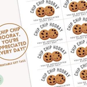 Chip Chip Hooray, Sie werden jeden Tag geschätzt Geschenkanhänger Anerkennung für Lehrer Schokoladenkekse Tag Cookie Liebhaber Geschenkanhänger