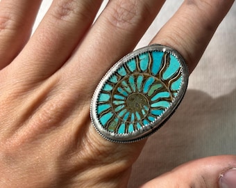 Ammonite Ring