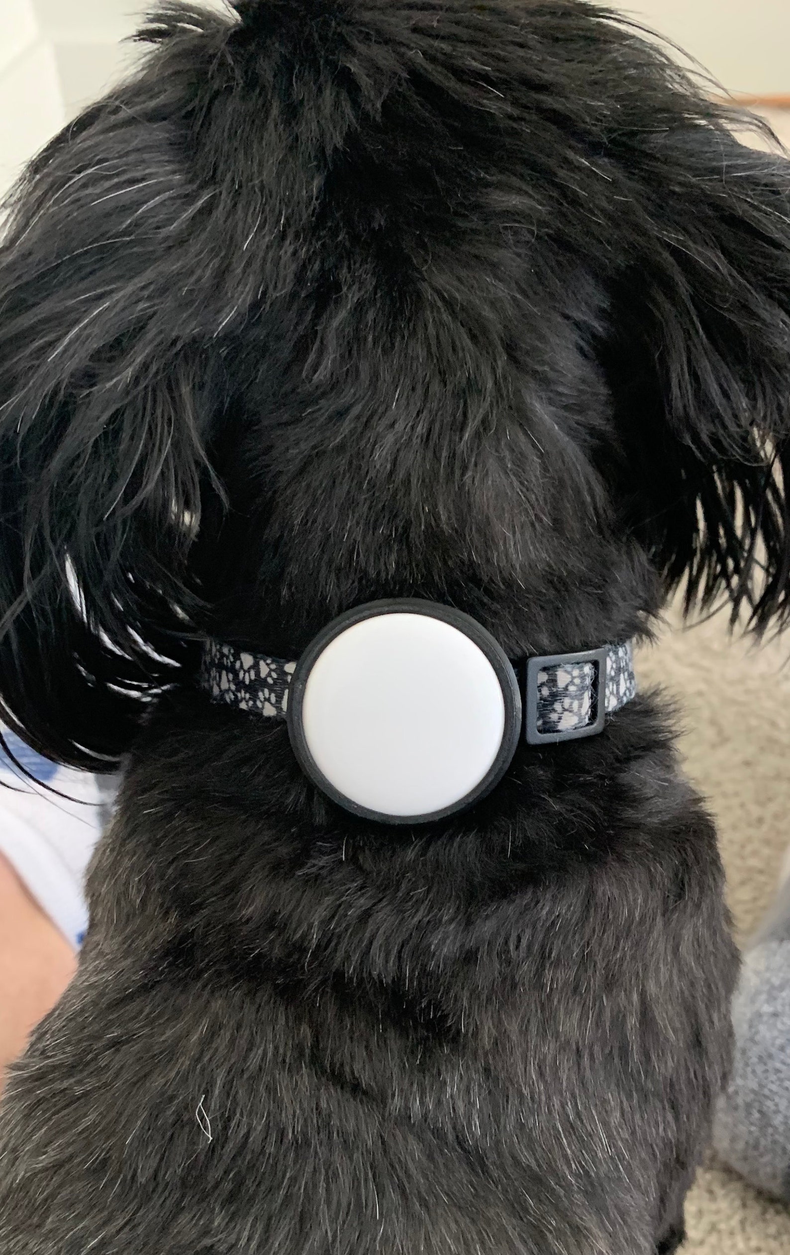 Air tag Holder for Dog Collar Etsy