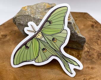 Pegatina de vinilo de polilla Luna, impermeable y resistente a la intemperie para coche.