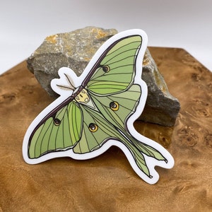 Luna Moth Sticker, 3.25x2.69 in - Hydro flask sticker/Vinyl/Laptop decal/Waterproof sticker/Weatherproof sticker/Car sticker