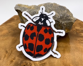 Ladybug Sticker, 2.16x2.5 in - Hydro flask sticker/Vinyl/Laptop decal/Waterproof sticker/Weatherproof sticker/Car sticker