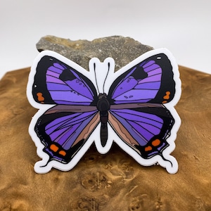 Colorado Hairstreak Butterfly Sticker, State Insect, 3x2.41 in - Hydro flask sticker/Vinyl/Laptop decal/Waterproof/Weatherproof/Car sticker