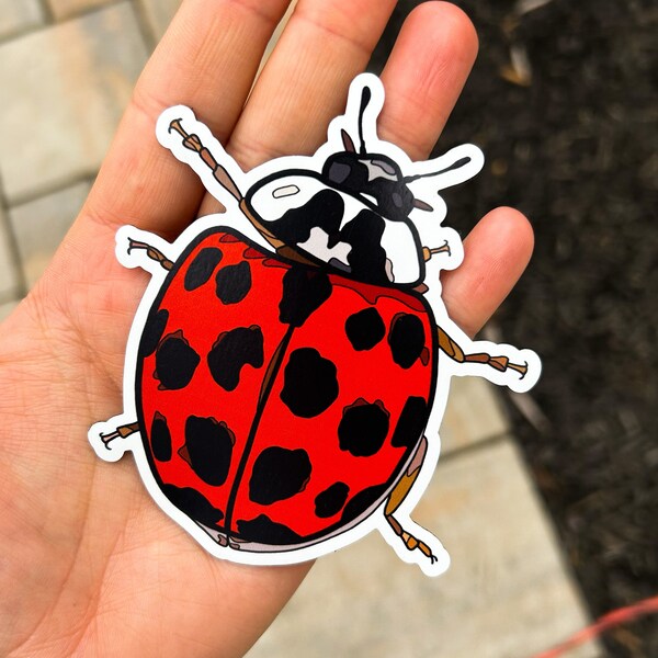 Outdoor Magnets - Etsy