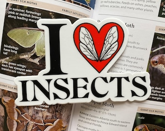 Pegatina de vinilo "Me encantan los insectos", calcomanía impermeable para coche