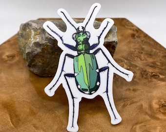 Etiqueta engomada del escarabajo tigre de seis puntos, 2.33x3.25 in - Etiqueta engomada del matraz hidráulico/Vinilo/Calcomanía del ordenador portátil/Pegatina impermeable/Pegatina resistente a la intemperie/Pegatina del coche