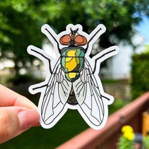Blue Green Bottle Fly Sticker, 2.63x3 in - Hydro flask sticker/Vinyl/Laptop decal/Waterproof sticker/Weatherproof sticker/Car sticker