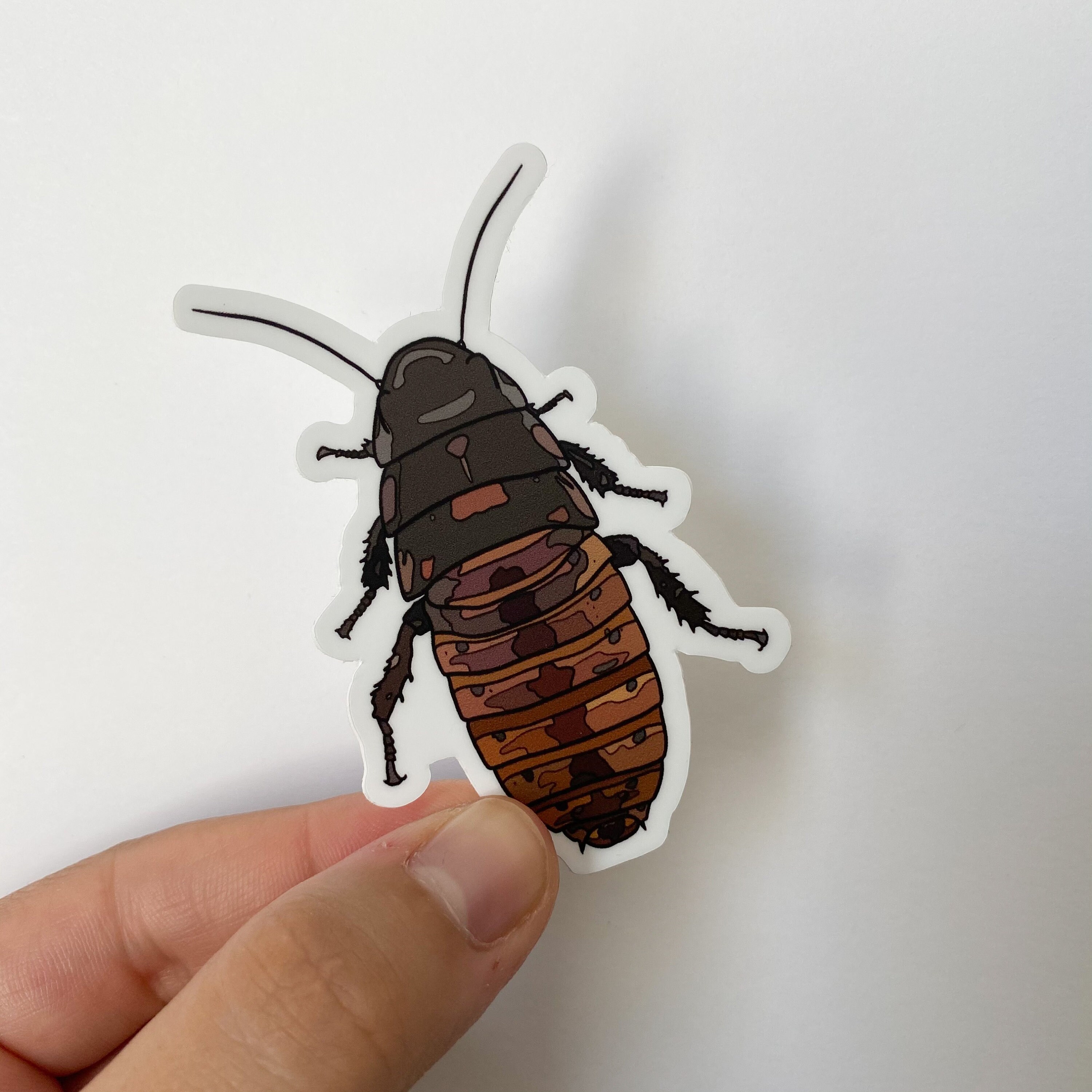 Madagascar Hissing Cockroach Sticker, 1.95x3 in - Hydro Flask Sticker ...