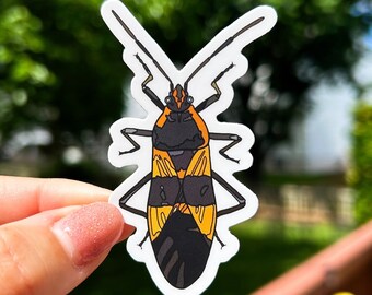 Adhesivo de insecto de algodoncillo, 1,72 x 3 pulg., Adhesivo para matraz hidráulico, Vinilo, Adhesivo para portátil, Adhesivo impermeable, Adhesivo resistente a la intemperie, Adhesivo para coche