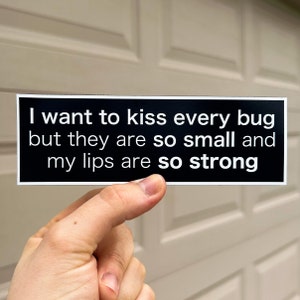 I Want To Kiss Every Bug Magnet, 6x1.98 in - Car Magnet/Refrigerator Magnet/Funny Magnet/Car Accessories