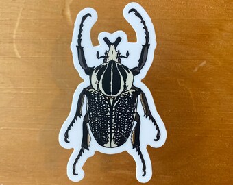Goliath Beetle Sticker, 1.97x3.25 in - Pegatina de matraz de hidro / vinilo / calcomanía para computadora portátil / impermeable / resistente a la intemperie / pegatina para automóvil