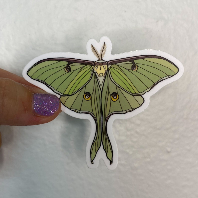Luna Moth Vinyl Sticker, Waterproof Weatherproof Car Decal - Etsy
